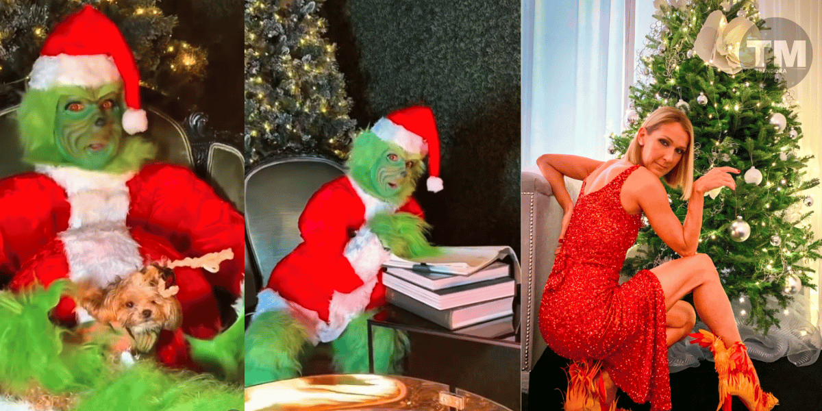 Céline Dion Channels Her Inner Grinch