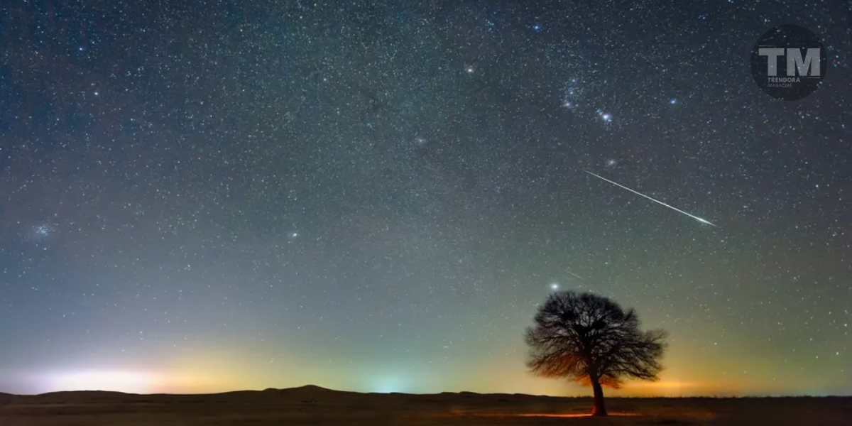 Ursid Meteor Shower 2025 Lights Up December Skies Ahead of Christmas