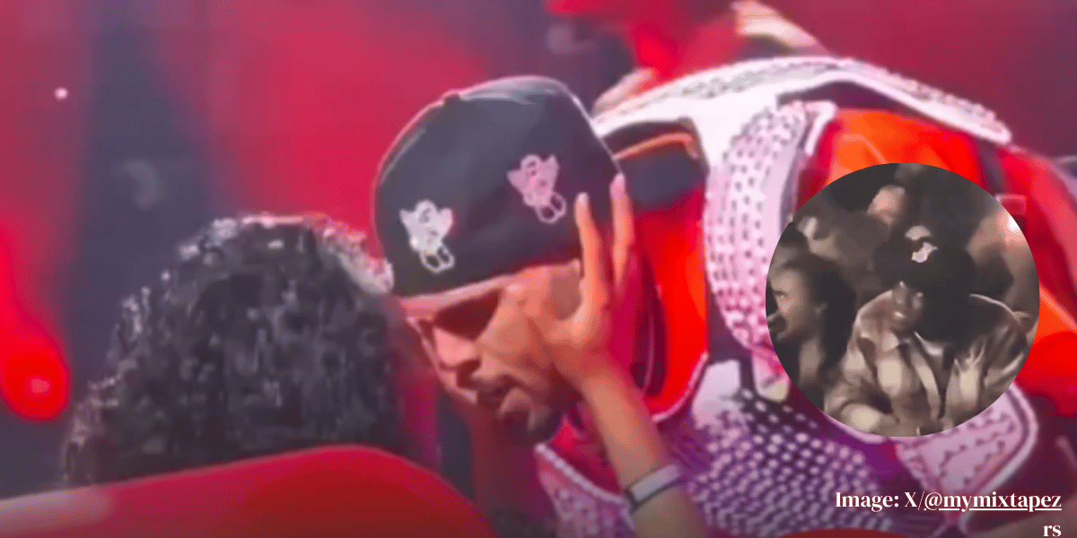 Chris Brown Kisses Married Fan On Stage, Sparks Viral Debate