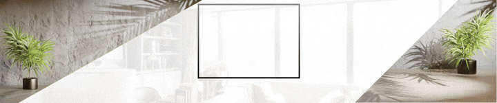 Advertisment Image